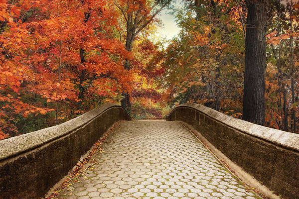 Autumn Poster featuring the photograph Autumn Woodland Overpass by Jessica Jenney