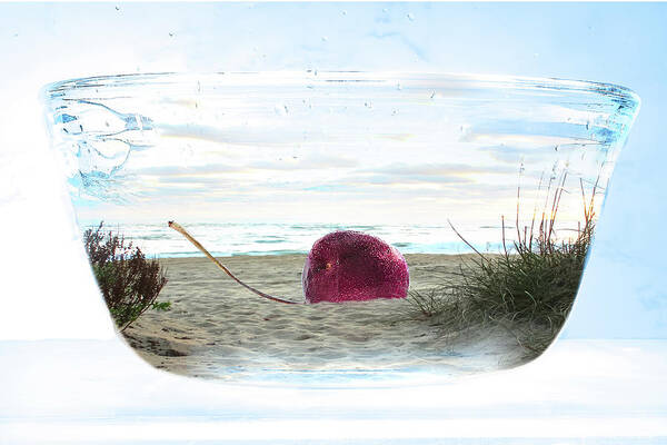 Cherry On The Beach Poster featuring the photograph Beach in a bowl by Sharon Popek