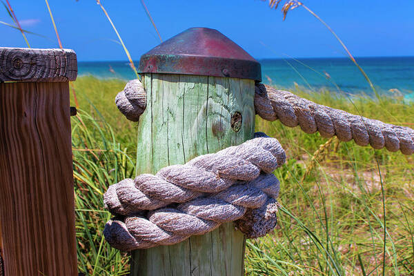 Rope Poster featuring the photograph Beach Path Ropes by Blair Damson