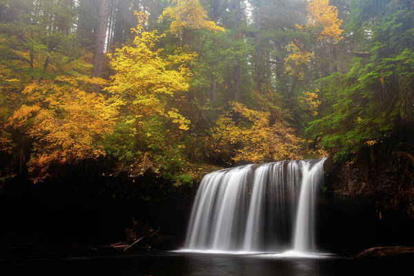 Oregon Poster featuring the photograph Beautiful Oregon by Darren White