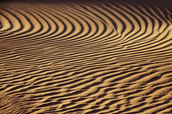 Sand Poster featuring the photograph Beautiful sand dune pattern in wind by Mikhail Kokhanchikov