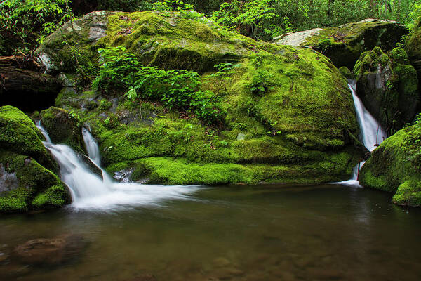 Great Smoky Mountains National Park Poster featuring the photograph Below 1000 Drips 2 by Melissa Southern