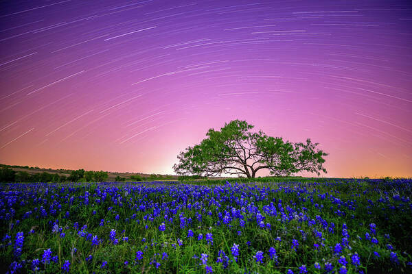 2021 Poster featuring the photograph Beneath a Texas Sky by KC Hulsman