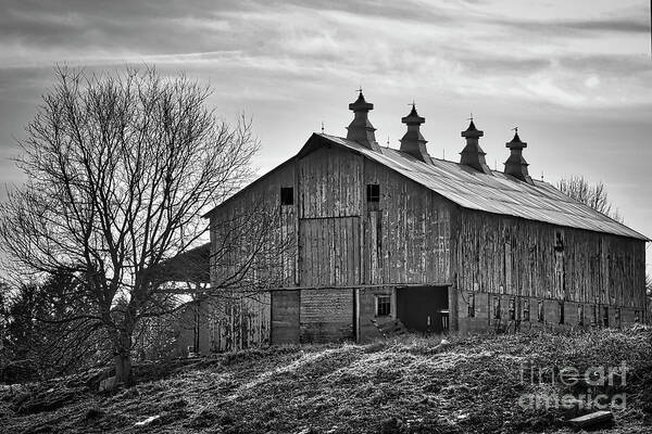 Barn Poster featuring the photograph Big Barn by Kirt Tisdale