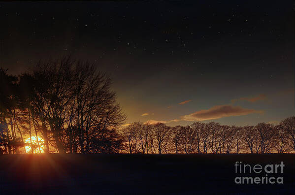 Norfolk Poster featuring the photograph Norfolk rural sunset through winter trees by Simon Bratt