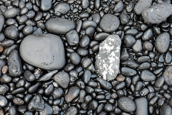 Black Beach Poster featuring the photograph Black Beach Stones by Craig A Walker