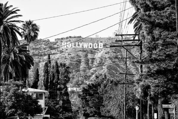 Los Angeles Poster featuring the photograph Black California Series - Hollywood Sign by Philippe HUGONNARD