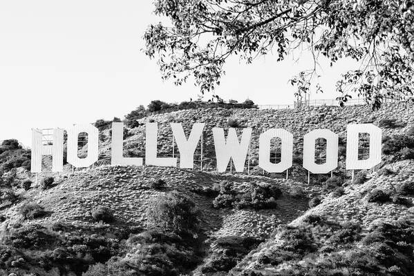 Los Angeles Poster featuring the photograph Black California Series - Los Angeles Hollywood Sign by Philippe HUGONNARD