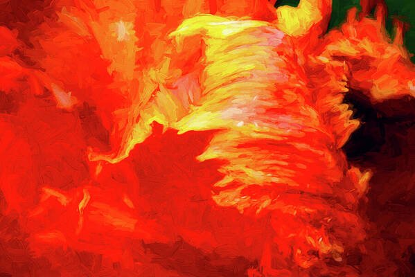 D1-f-0899-d Poster featuring the photograph Blazing Tulip by Paul W Faust - Impressions of Light