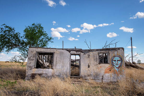 Building Poster featuring the photograph Blue Being Graffiti by Mary Lee Dereske