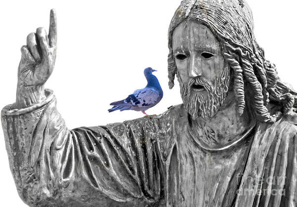 Jesus Christ Poster featuring the photograph Blue Dove by Munir Alawi