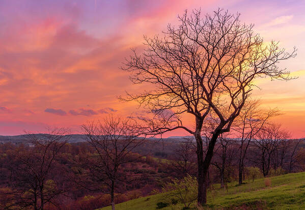 Sunset Poster featuring the photograph Blue Hour Sunset Trexler Nature Preserve by Jason Fink