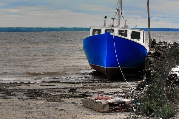 Digby Neck Blue Fishing Boat Sea St Mary’s Bay Nova Scotia Beach Sand Rope Bow Sea Ocean Poster featuring the photograph Blue Hull by David Matthews