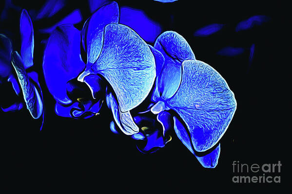 Abstract Poster featuring the photograph Blue Light by Diana Mary Sharpton