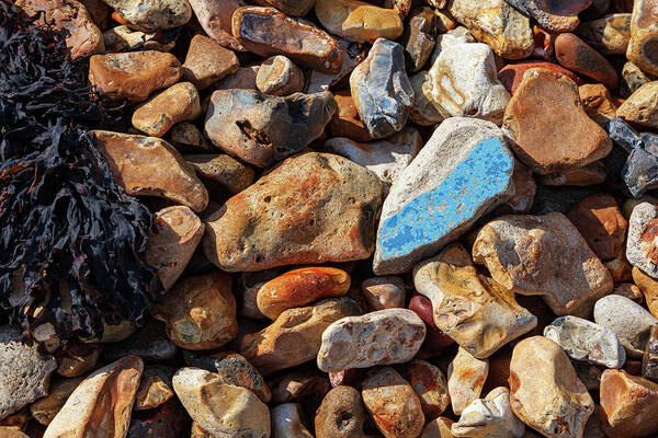 United Kingdom Poster featuring the photograph Blue pottery on pebbles by Richard Donovan