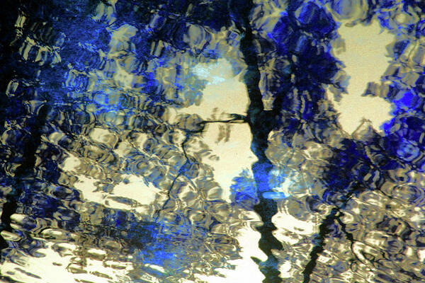 Water Poster featuring the photograph Blue Reflections by Carolyn Stagger Cokley