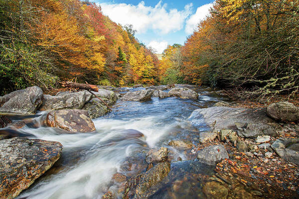 Landscape Poster featuring the photograph Blue Ridge Mountains North Carolina Autumn Cascade by Robert Stephens