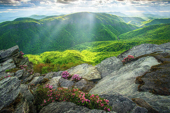 Outdoors Poster featuring the photograph Blue Ridge Mountains North Carolina Hawksbill Spring Light by Robert Stephens