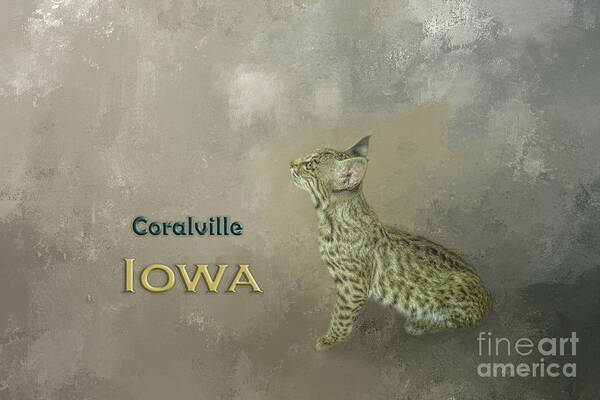 Coralville Poster featuring the mixed media Bobcat Coralville Iowa by Elisabeth Lucas