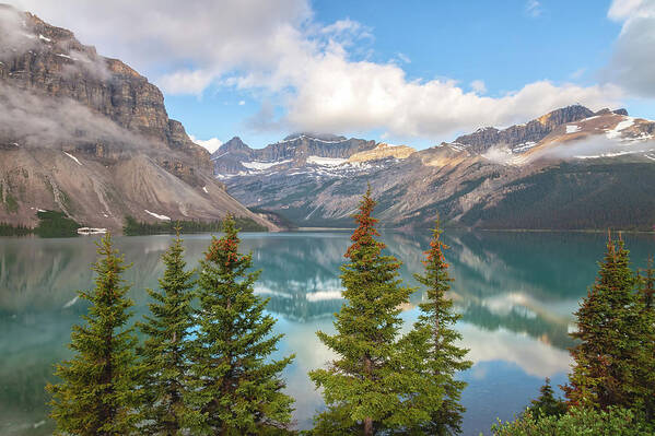 Canadian Rockies Poster featuring the photograph Bow Lake by Jonathan Nguyen