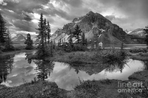 Bow Poster featuring the photograph Bow Lake Wetlands Reflections Black And White by Adam Jewell