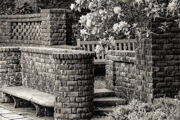 Brick Walls Bench Stairs Flowers B&w Poster featuring the photograph Brick Walls2 by John Linnemeyer