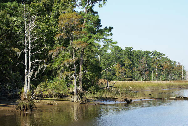  Poster featuring the photograph Brunswick Riverwalk by Heather E Harman