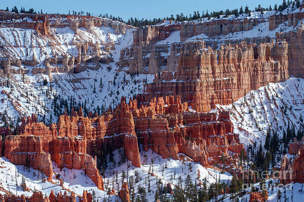 Bryce Canyon National Park Poster featuring the photograph Bryce Canyon Snowscape Five by Bob Phillips