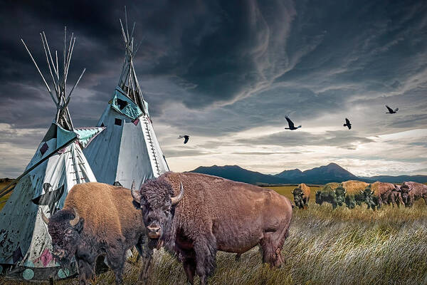 Native Poster featuring the photograph Buffalo Herd by Indian Tepees with Blackbirds by Randall Nyhof