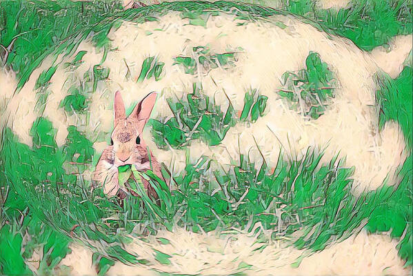 Rabbit Poster featuring the photograph Bunny Eating Green by Diane Lindon Coy