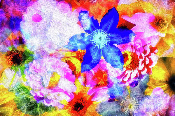 Floral Poster featuring the photograph Bursting With Colour by Jack Torcello