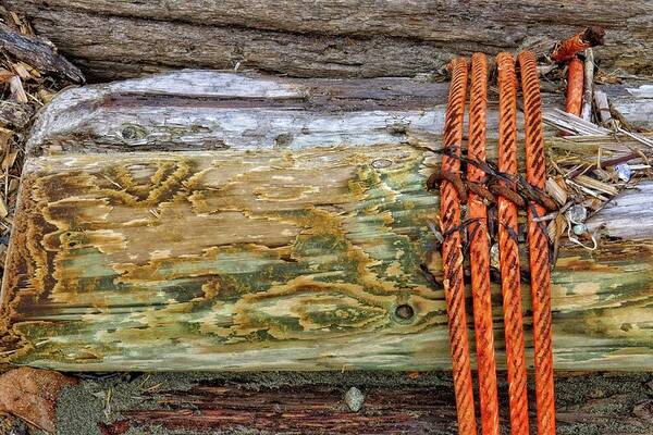 Abstract Poster featuring the digital art Cable Around A Log by David Desautel