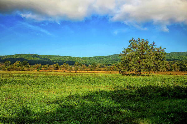 Cades Cove Poster featuring the photograph Cades Cove Landscape by Judy Vincent