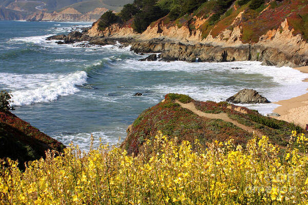 California Poster featuring the photograph California Coast Overlook by Carol Groenen