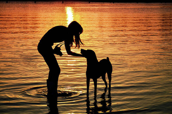 Silhouette Poster featuring the photograph Call And Answer by Laura Fasulo