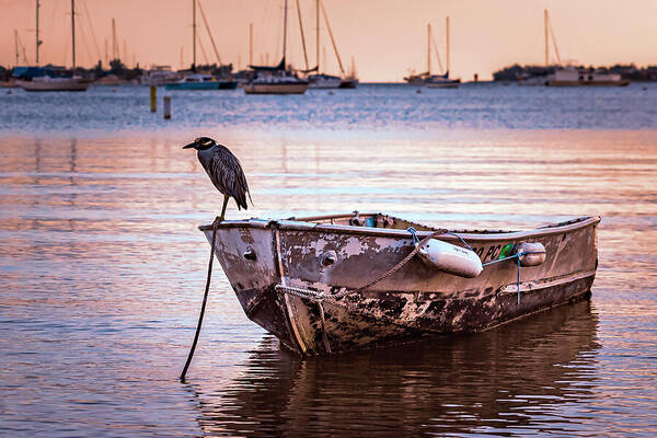 Sarasota Bay Poster featuring the photograph Call It A Day by Michael Smith