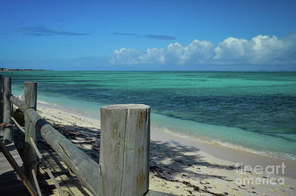 Tropical Poster featuring the photograph Calming Waters by Judy Wolinsky