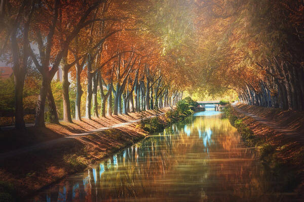 Toulouse Poster featuring the photograph Canal de Brienne Toulouse France in Autumn by Carol Japp