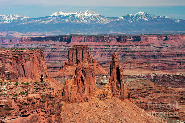 Canyonlands National Park Poster featuring the photograph Canyon View from Mesa Arch Overlook by Bob Phillips