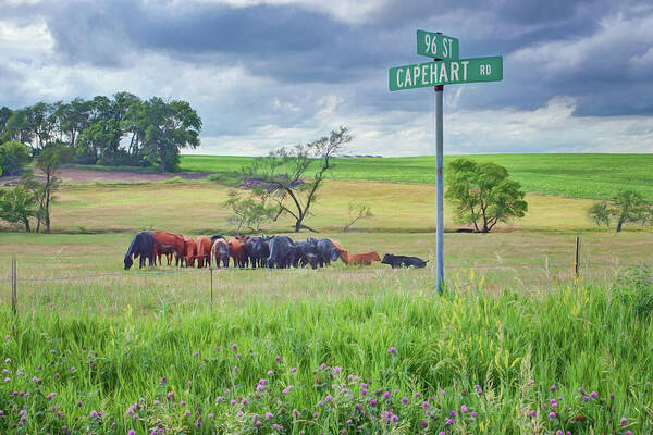 Rural Poster featuring the photograph Capehart and 96 St - Nebraska by Nikolyn McDonald