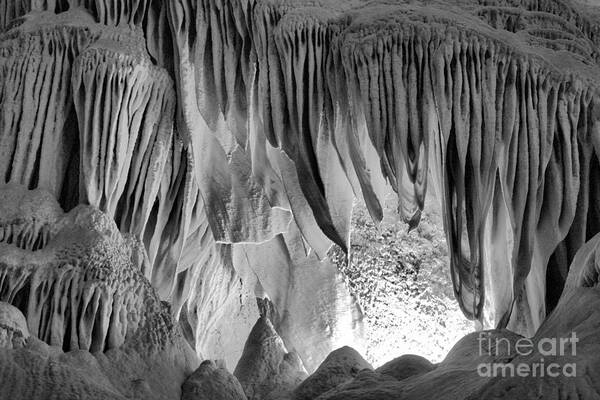 Carlsbad Poster featuring the photograph Carlsbad Caverns Whale Mouth Formation Black And White by Adam Jewell