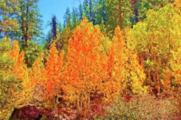 Painting Poster featuring the digital art Carson River Fall Colors by David Desautel