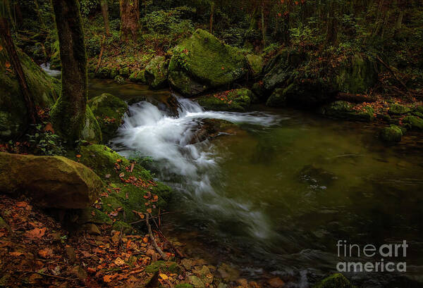 Waterfall Poster featuring the photograph Cascade at Rocky Fork II by Shelia Hunt