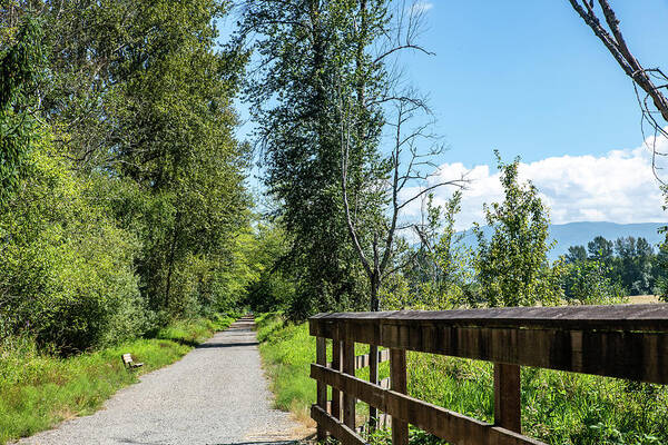 Cascade Trail And Cedar Rail Poster featuring the photograph Cascade Trail and Cedar Rail by Tom Cochran