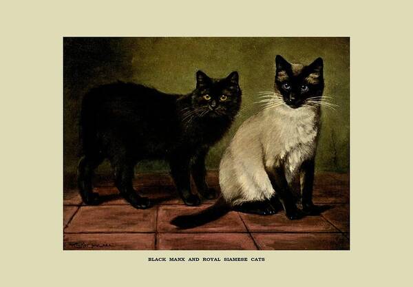 Cat Poster featuring the painting Cats Vintage Painting 6 by Les Classics