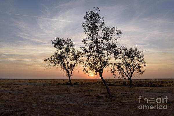Sunset Poster featuring the photograph Central Valley Sunset by Jeff Hubbard