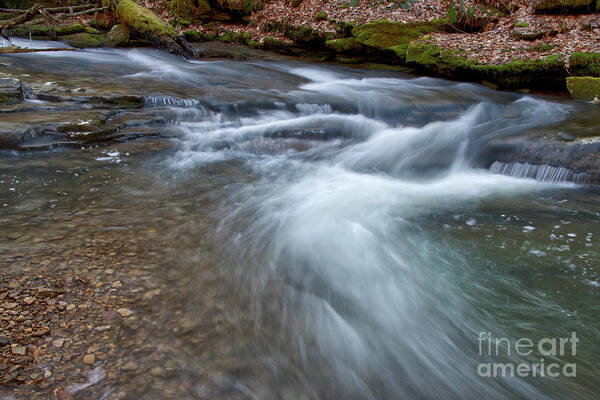 Frozen Head State Park Poster featuring the photograph Changing Flow by Phil Perkins