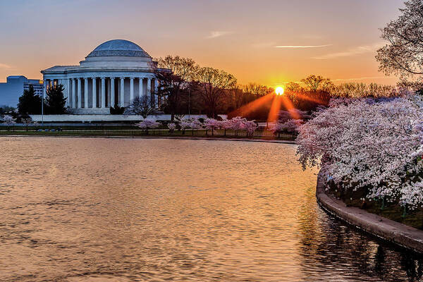 Cherry Blossoms Poster featuring the photograph Cherry blossom sunrise by Robert Miller