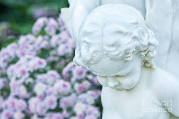 Albert Poster featuring the photograph Cherub in Autumn by Marilyn Cornwell