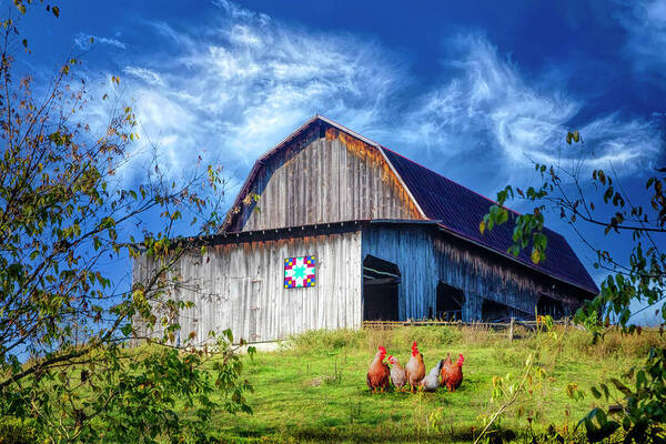 Vintage Poster featuring the photograph Chickens at the Farm Barn by Debra and Dave Vanderlaan